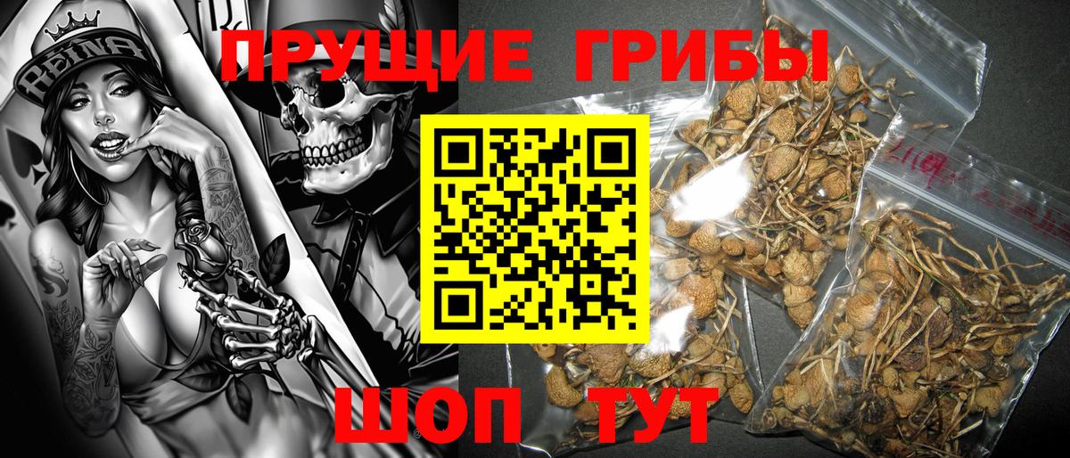Псилоцибиновые грибы прущие грибы  Вход с VPN  Галлюциногенные грибы прущие грибы  Бутурлиновка 