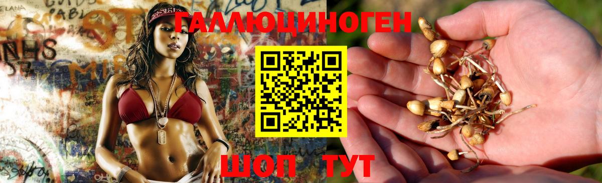 Псилоцибиновые грибы MAGIC MUSHROOMS Бутурлиновка